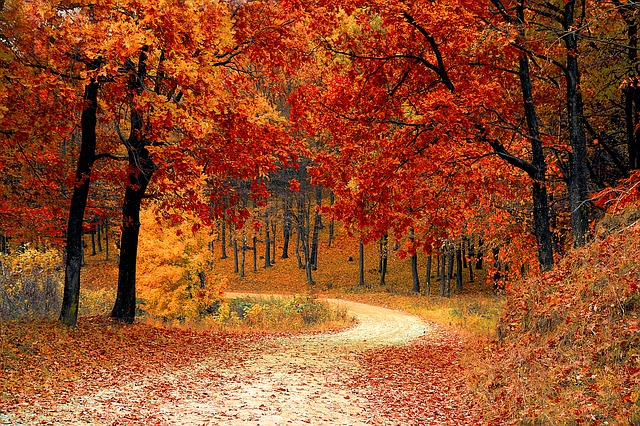 Gearing Up For Fall? Here’s Why Financial Planning Should Be A Priority